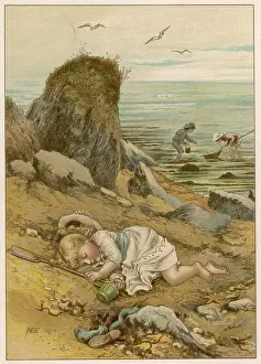Shrimps: Asleep on the Shore