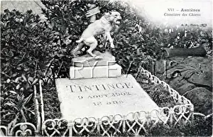 Asnieres: ASNIERES - TINTINGE GRAV