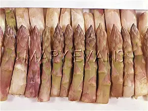 Aphrodisiac: ASPARAGUS