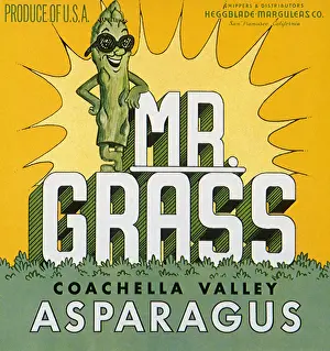 Stalk: Asparagus Man
