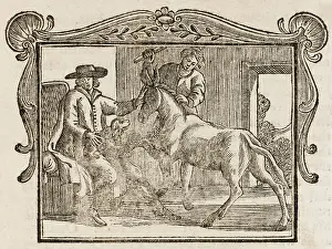 1761: THE ASS AND THE LAP-DOG