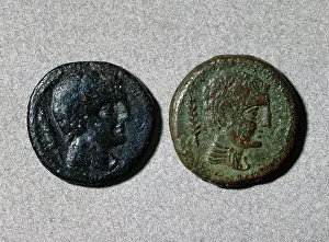 Mint: Assarius. Adverse. Ibero-roman. Bronze. Head. Mint of Iltirc