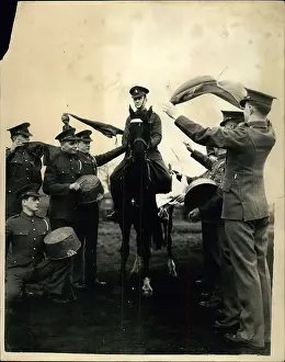 Bash: Assault course for Coronation Day horses, Windsor