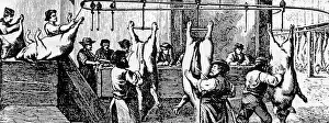 Slaughter: Assembly line production in a Chicago slaughterhouse, 1873