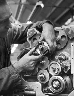 Placing: Assembly of a Multi-cogged Machine