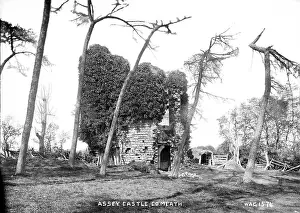 Stump: Assey Castle, Co. Meath