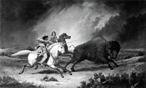 Hohe: Assiniboine Indian Bison Hunt