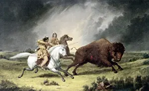 Salvage: Assiniboine Indian Bison Hunt