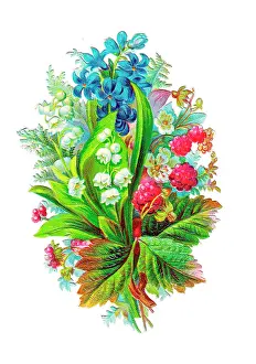 Raspberries: Assorted flowers and fruit on a Victorian scrap