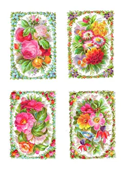 Fuchsia: Assorted flowers on four Victorian scraps