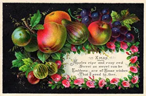 Gooseberries: Assorted fruit on a Christmas card
