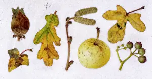 Decaying: Assorted September items