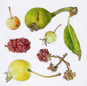 Helga Crouch: Assorted September items