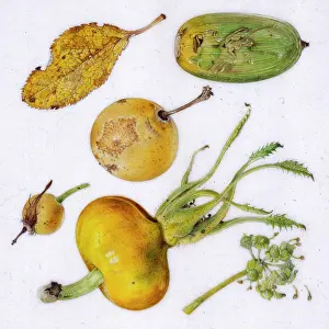 Decaying: Assorted September items
