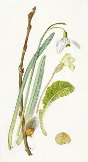 Helga Crouch: Assorted spring items