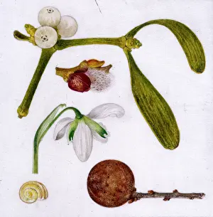 Helga Crouch: Assortment of January items