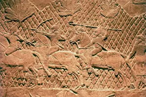 Basrelief: Detail of the Assyrian relief