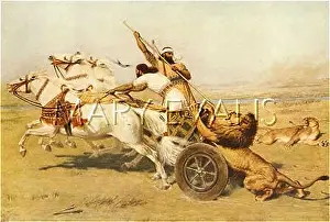 Assyrians: ASSYRIANS LION-HUNTING