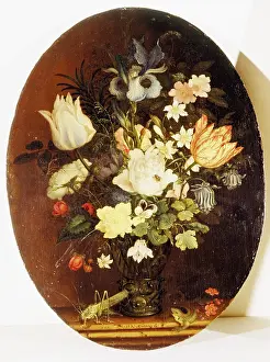 Balthasar: Ast, Balthasar von der