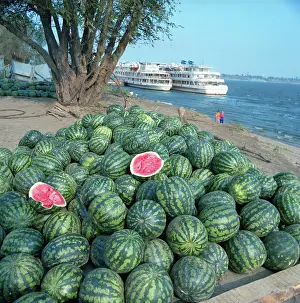 Watermelons: Astrakhan watermelons, 1991