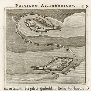 Pisces: Astrology - Zodiac - Pisces
