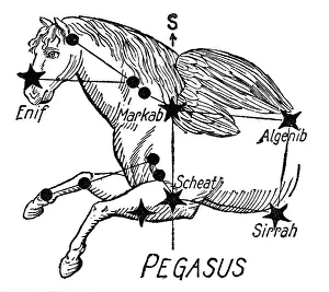 Elert: astromomy, constellations, Pegasus, drawing