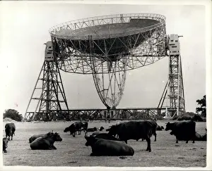 Nuffield: Astronaut - Comets - NASA - Space - Spacecraft - UFOs