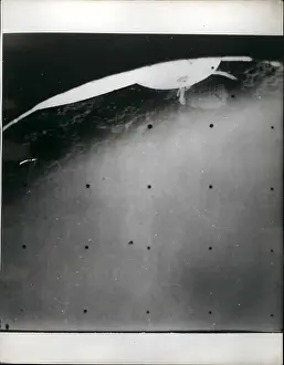 Honeycomb: Astronaut - Comets - NASA - Space - Spacecraft - UFOs