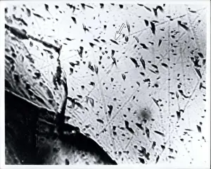 Riddled: Astronaut - Comets - NASA - Space - Spacecraft - UFOs