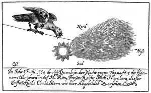 astronomy, comets, appearance over Nuremberg