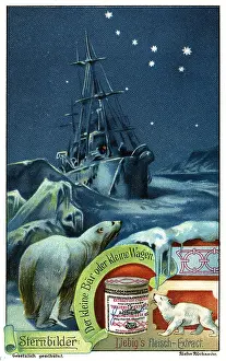 Liebigs: astronomy, constellations, night at the Polar