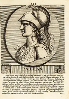 Gods And Heroes: Athena, often given the epithet Pallas, ancient