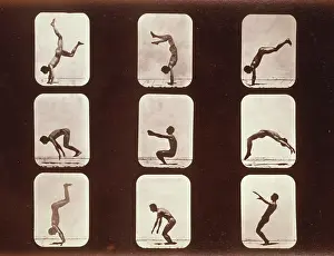 Flap: Athletes. Flip flap