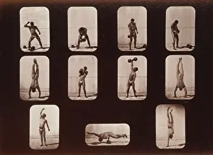 Handstand: Athletes. Posturing