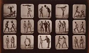 Acrobatics: Athletes. Posturing