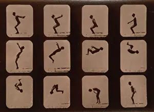 Somersault: Athletes. Back summersault
