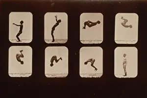 Somersault: Athletes. Back summersault