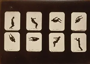 Somersault: Athletes. Twisting summersault