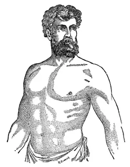 Bilz: Athletic chest, 1902