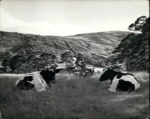 Atholl: Atholl Highlanders Blair Castle Scotland