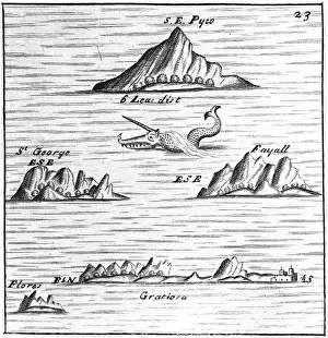 Flores: ATLANTIC IS. AZORES