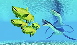 Loch: Atlantic salmon flee from predatory Plesiosaurus