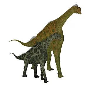 Offspring: Atlasaurus dinosaur with juvenile