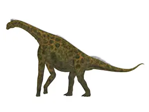 Bathonian: Atlasaurus dinosaur, side view