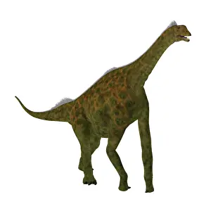 Bathonian: Atlasaurus dinosaur on white background