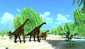 Bathonian: Two Atlasaurus dinosaurs escort a juvenile to a pond