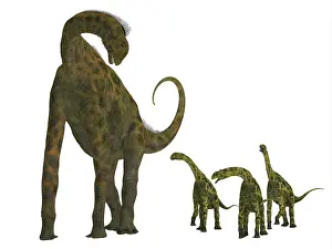 Bathonian: Atlasaurus with offspring