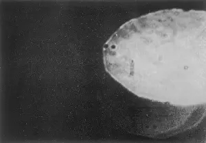 Infra: atmospheric UFOS: Trevor James Constable