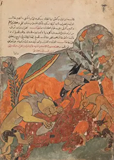 Jackal: The Attack on the Camel by the Lion, Crow, Wolf