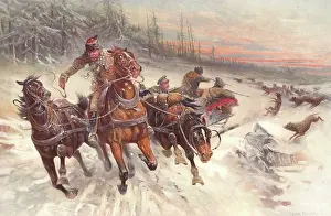 Feller: Attacked by Wolves